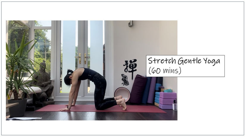 Stretch Yoga